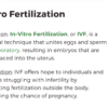 Pregnancy + ART + Embryonic and Fetal Development - Image 3